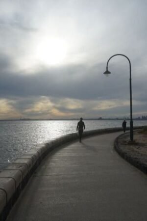 Encounter at Elwood Beach