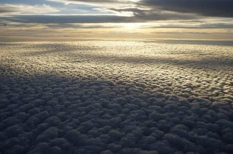 Golden Clouds