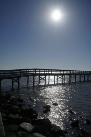 Bridge Over Tranquil Waters