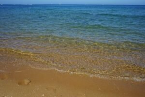 Saturday Morning Swim